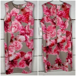 NWT Calvin Klein Dress Size 16 W